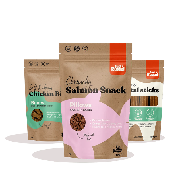 Healthy dog snacks