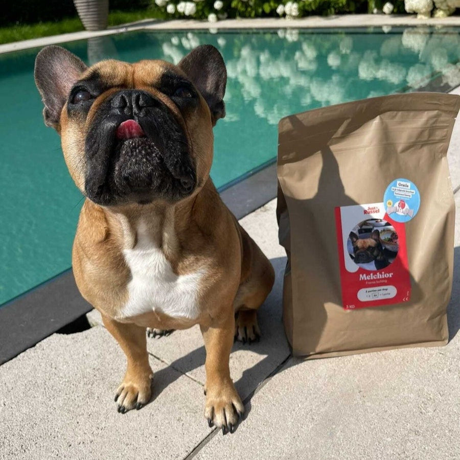 Dog food for French Bulldogs - 3 KG