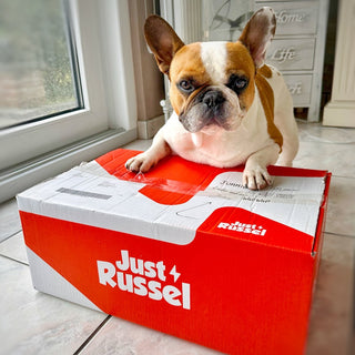 Dog food for French Bulldogs - 3 KG