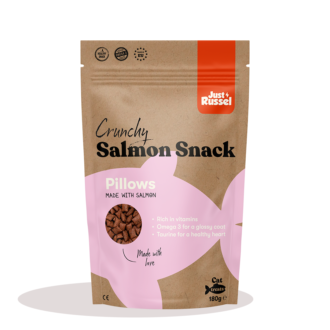 Friandises saines pour chats - Saumon irlandais
