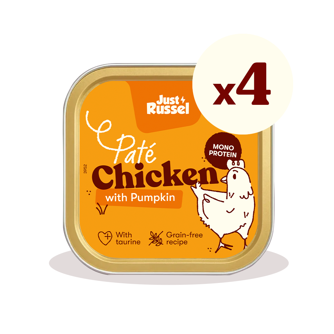 Pâtée pour chats – Poulet et potiron