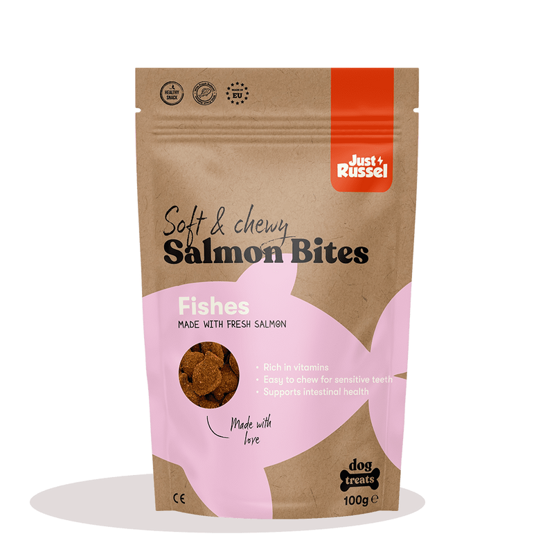 Healthy Dog Treats - With Norwegian salmon